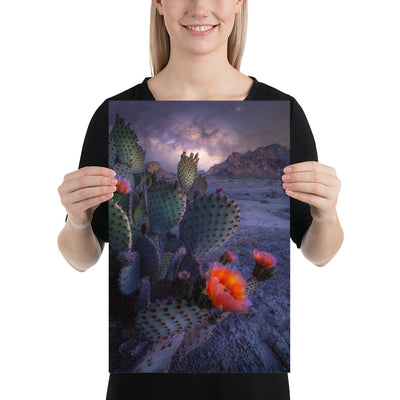 Big Bend Prickly Pear Nightscape Luster