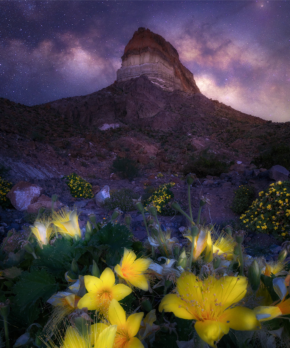 Big Bend National Park Night Photography Tour