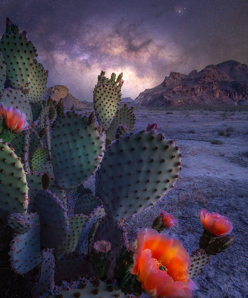 Big Bend National Park Night Photography Tour