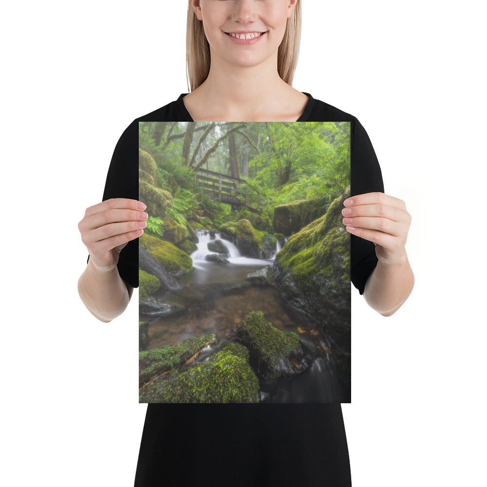 Oregon Fairy Garden Canvas