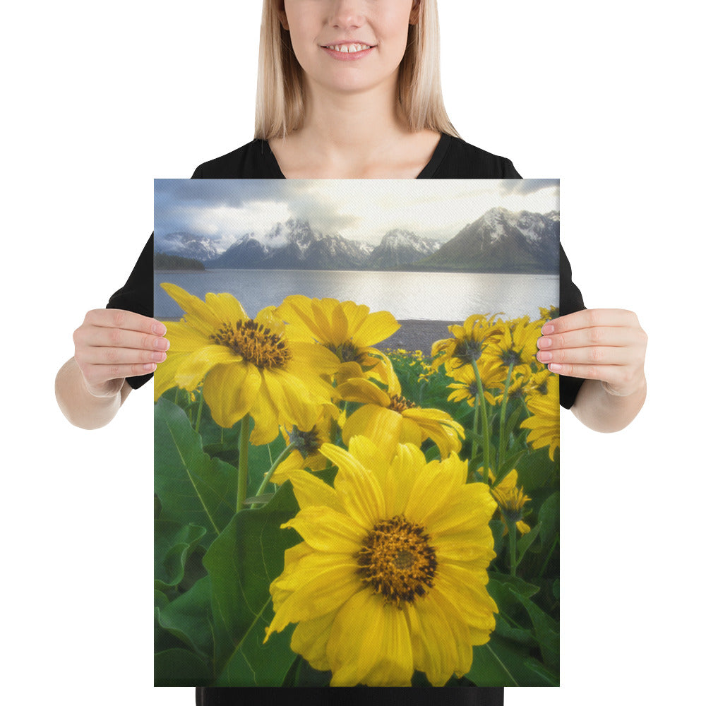 Grand Teton Wildflowers Canvas