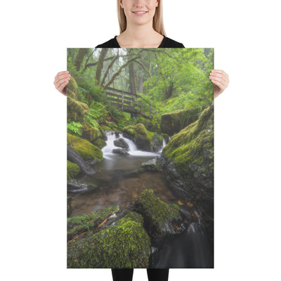 Oregon Fairy Garden Canvas