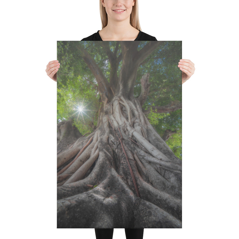 Tree of Hope Canvas