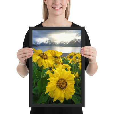 Grand Teton Wildflowers Framed Matte