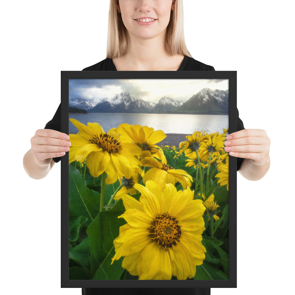 Grand Teton Wildflowers Framed Matte