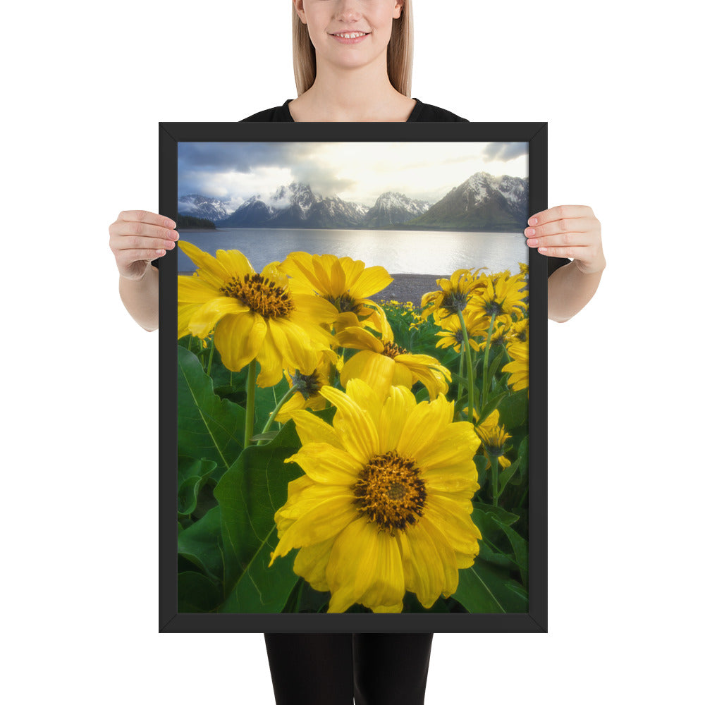 Grand Teton Wildflowers Framed Matte