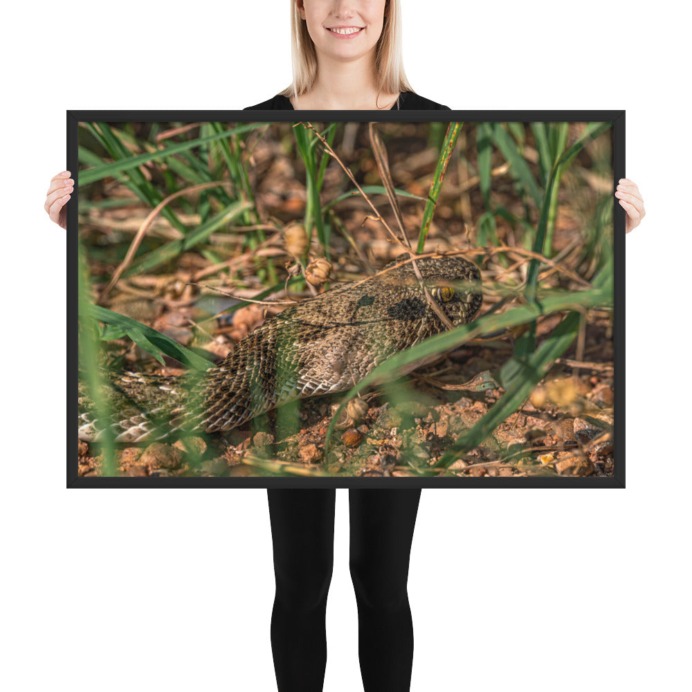 Caprock Canyons Rattlesnake Framed Matte