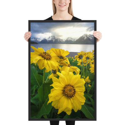 Grand Teton Wildflowers Framed Matte