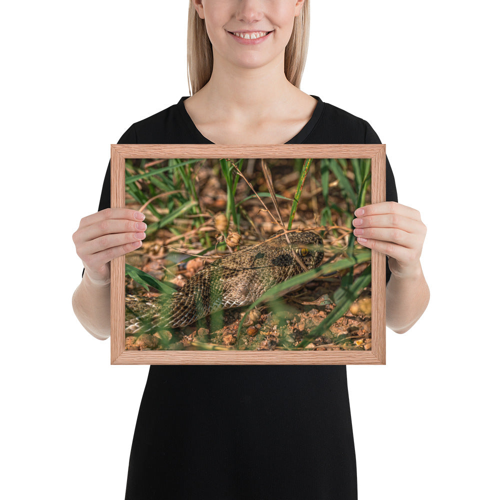 Caprock Canyons Rattlesnake Framed Matte