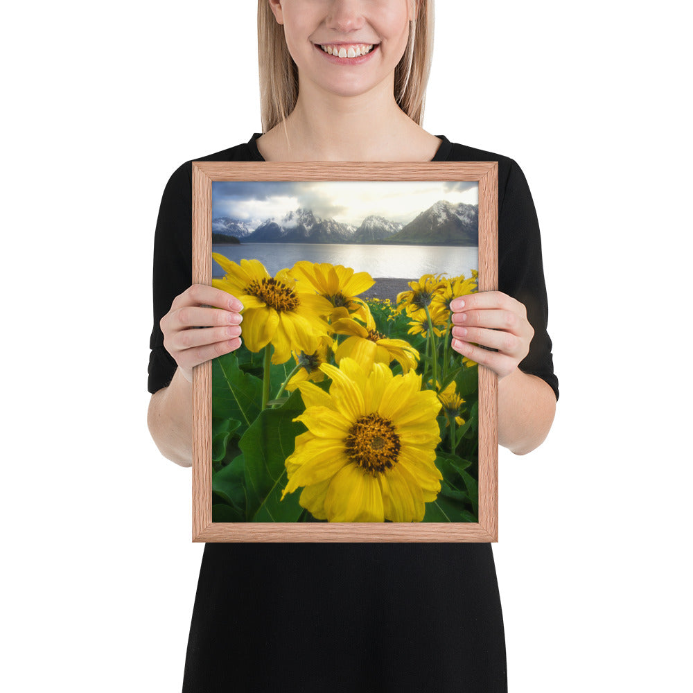 Grand Teton Wildflowers Framed Matte