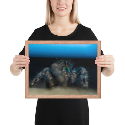 Jumping Spider Framed Matte