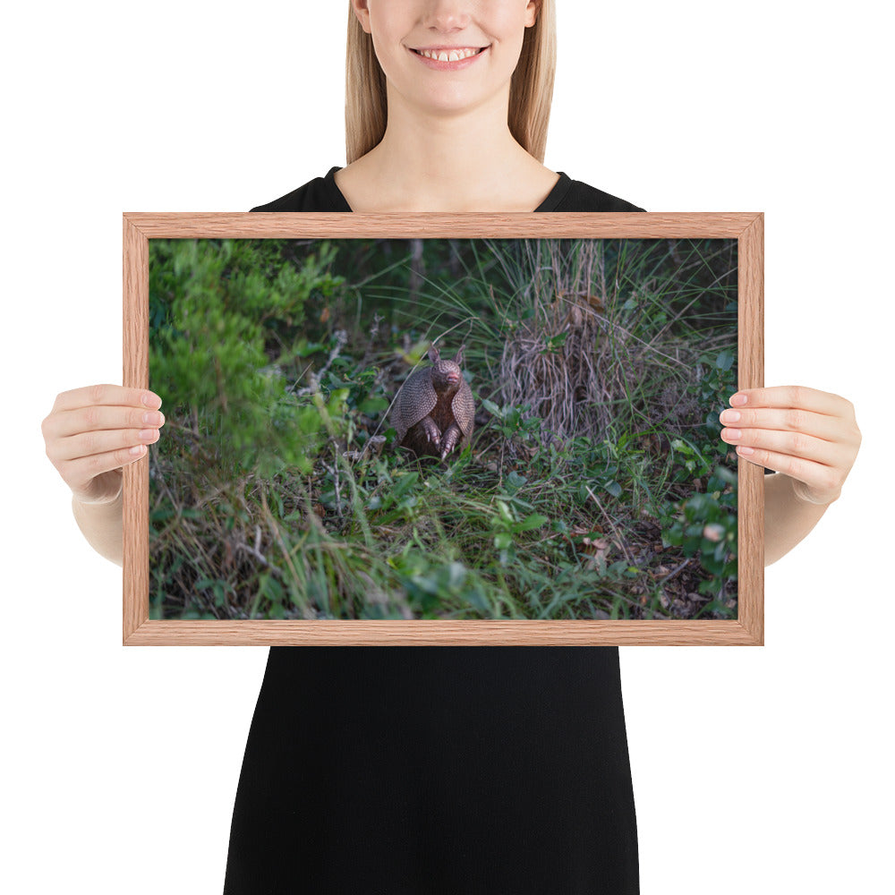 Hill Country Armadillo Framed Matte