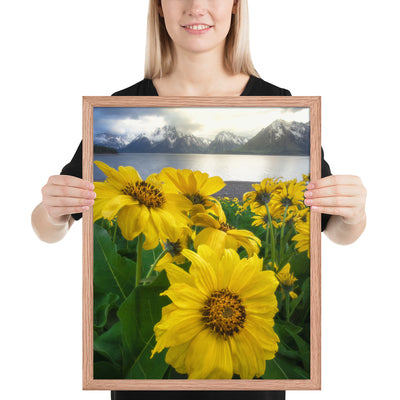 Grand Teton Wildflowers Framed Matte