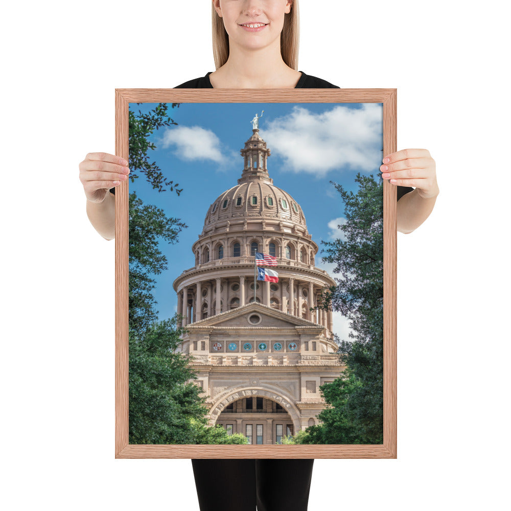 Texas State Capitol Framed Matte