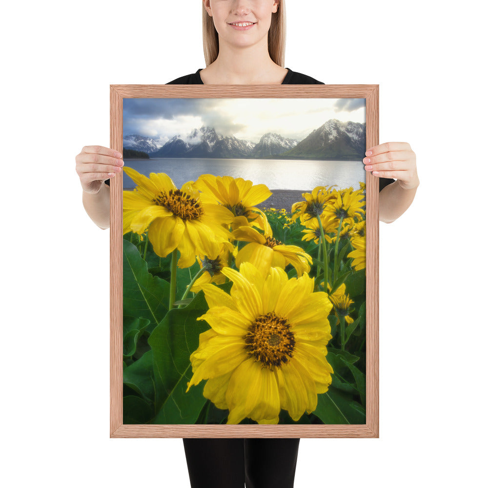 Grand Teton Wildflowers Framed Matte