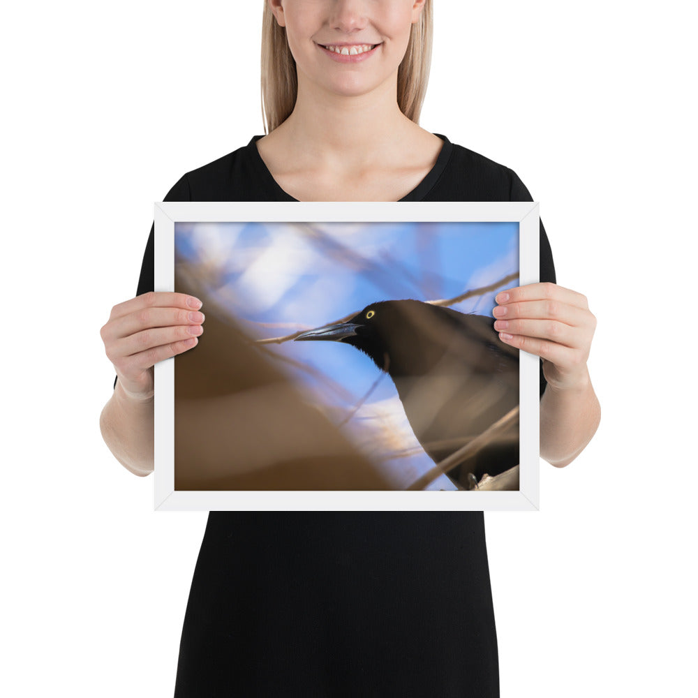 Perched Grackle Framed Matte