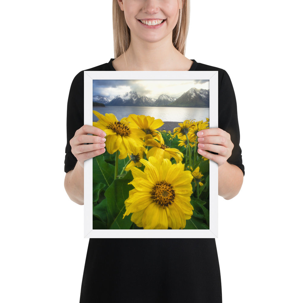 Grand Teton Wildflowers Framed Matte