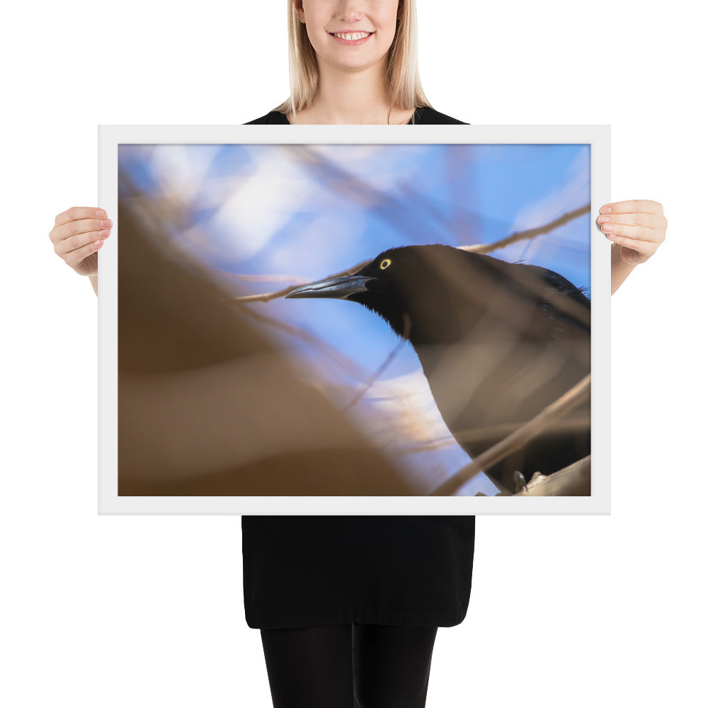 Perched Grackle Framed Matte