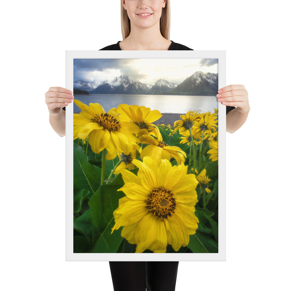 Grand Teton Wildflowers Framed Matte