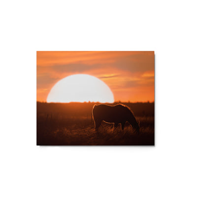 Llano Estacado Horse Metal
