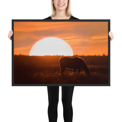 Llano Estacado Horse Framed Luster