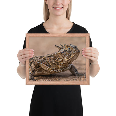 Texas Horned Lizard Framed Luster