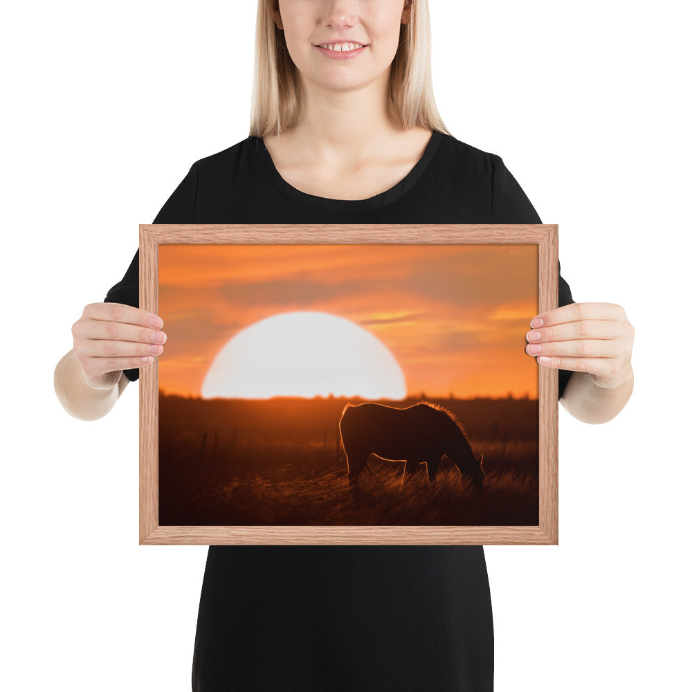 Llano Estacado Horse Framed Luster