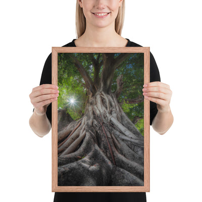 Tree of Hope Framed Luster