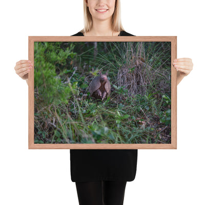 Hill Country Armadillo Framed Luster
