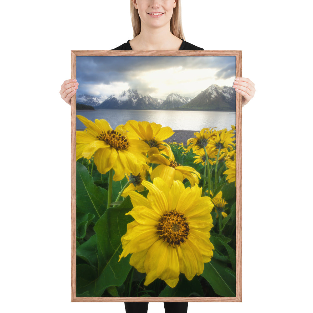 Grand Teton Wildflowers Framed Luster