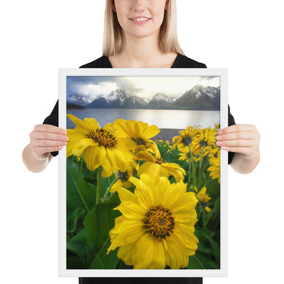 Grand Teton Wildflowers Framed Luster