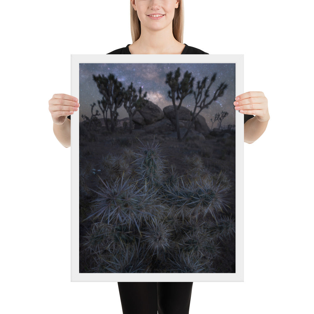 Joshua Tree Night Framed Luster