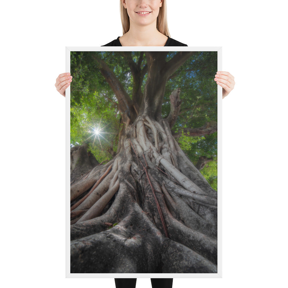 Tree of Hope Framed Luster